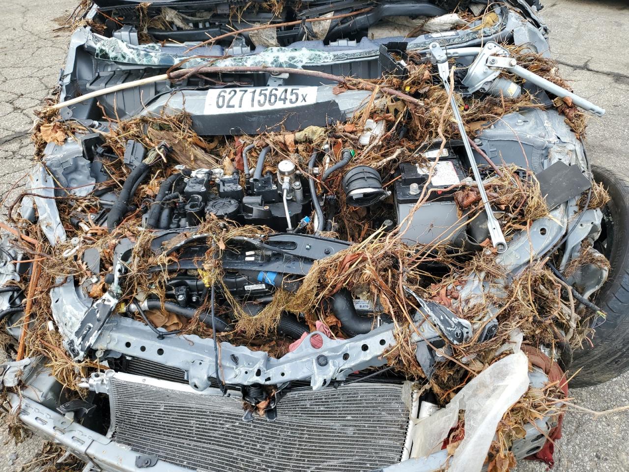 2024 Chevrolet Trailblazer Rs VIN: KL79MUSL0RB042905 Lot: 62715645