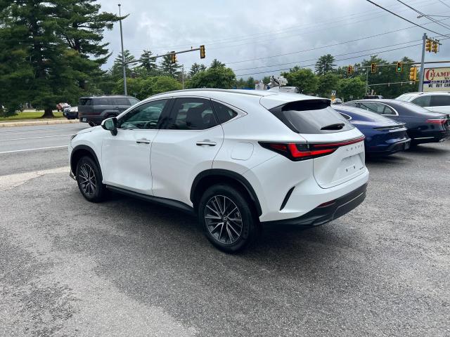  LEXUS NX 250 2022 Biały