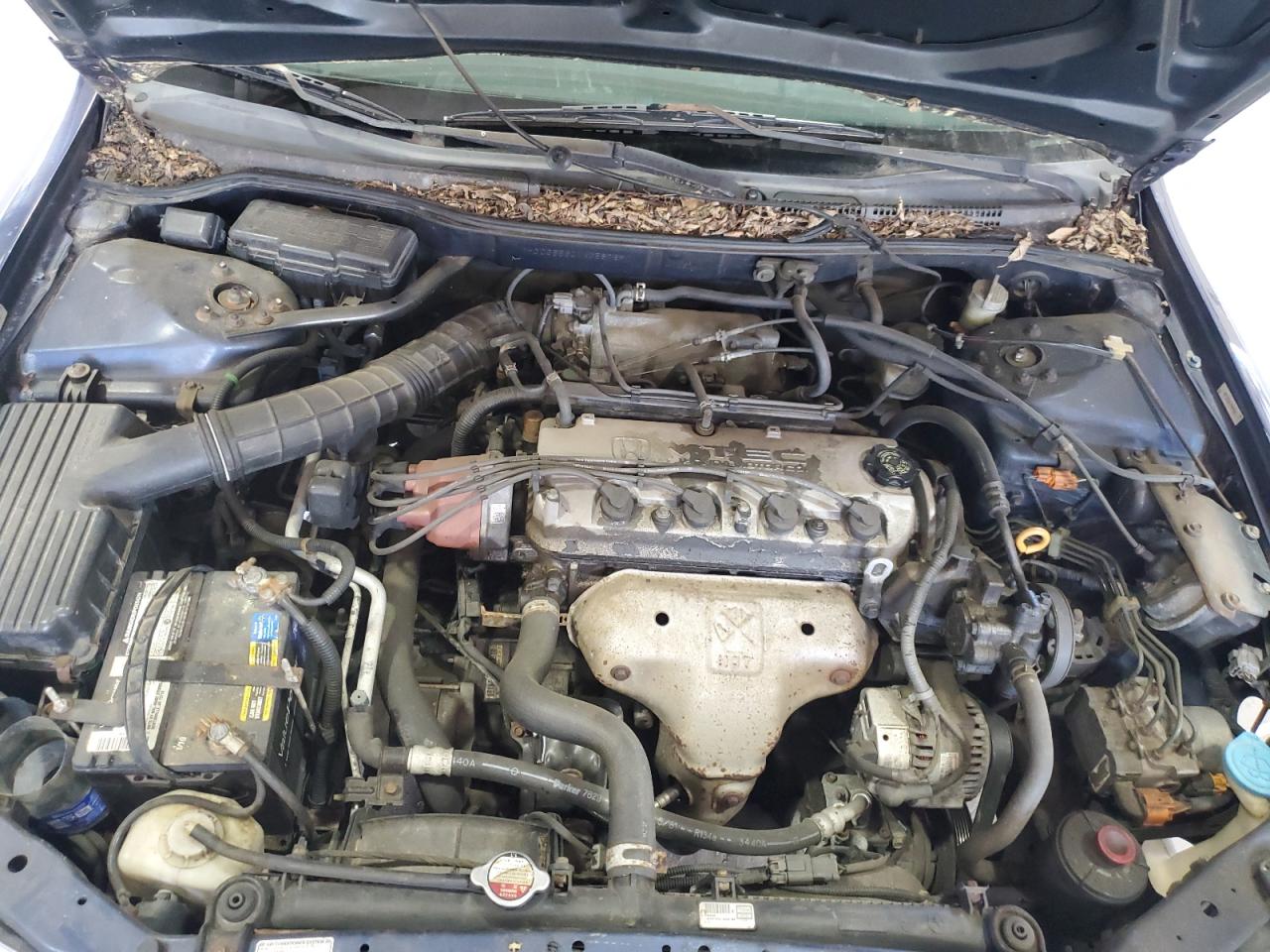 2001 Honda Accord Ex VIN: 1HGCG55601A058769 Lot: 61914545