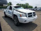 New Britain, CT에서 판매 중인 2006 Dodge Dakota Quad Slt   - Front End