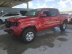 West Palm Beach, FL에서 판매 중인 2021 Toyota Tacoma Double Cab   - Front End