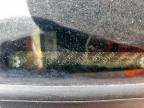 2007 Honda Odyssey Exl for Sale in Houston, TX - Side