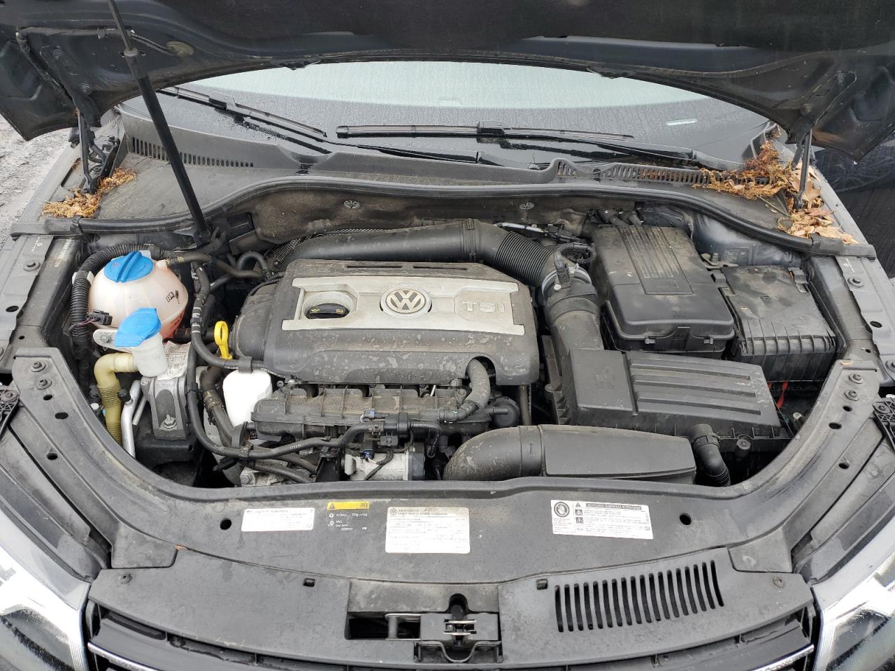 2016 Volkswagen Eos Komfort VIN: WVWBW8AH1GV000290 Lot: 61173095