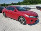 Prairie Grove, AR에서 판매 중인 2013 Honda Accord Ex - Side