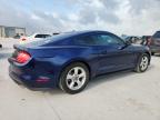 2019 Ford Mustang  for Sale in Haslet, TX - Hail
