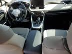 2024 Toyota Rav4 Xle Premium zu verkaufen in Riverview, FL - Front End