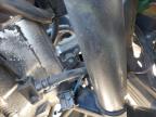 2004 Honda Vfr800    na sprzedaż w Dunn, NC - Normal Wear