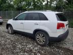 2011 Kia Sorento Ex   zu verkaufen in Cicero, IN - Front End