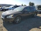 2014 Nissan Maxima S for Sale in San Diego, CA - Rear End