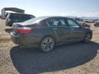 2014 Honda Accord Lx for Sale in Helena, MT - Front End