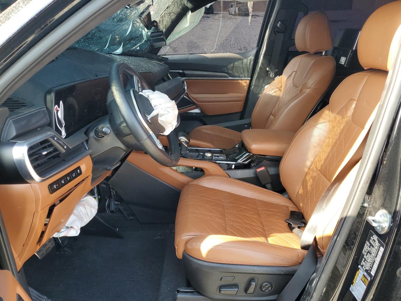 2024 Kia Telluride Sx VIN: 5XYP5DGC4RG443279 Lot: 62202395
