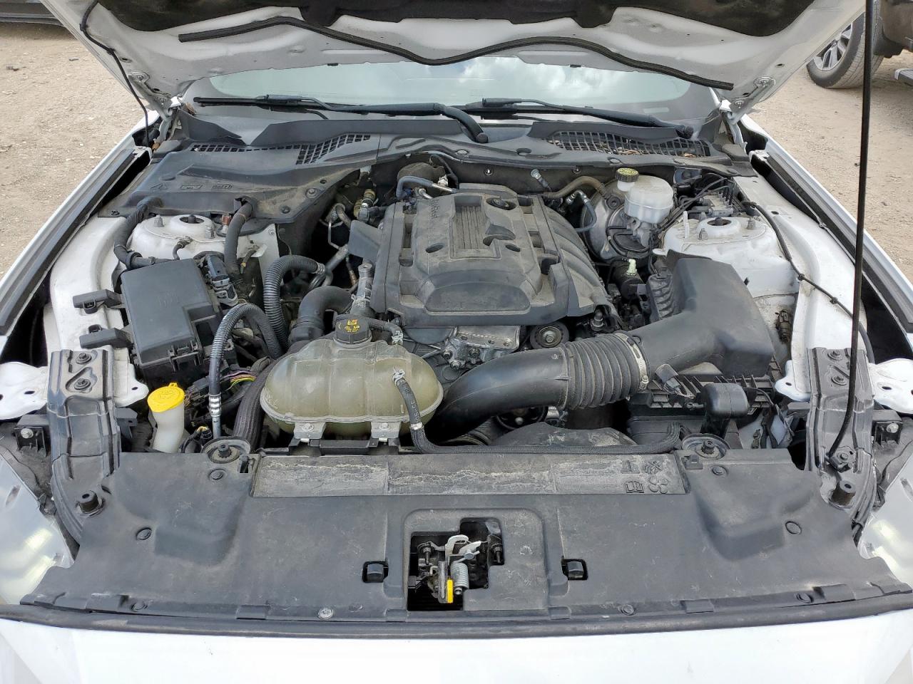 2019 Ford Mustang VIN: 1FA6P8TH9K5118470 Lot: 61856475