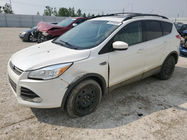 2014 FORD ESCAPE SE à vendre chez Copart AB - EDMONTON
