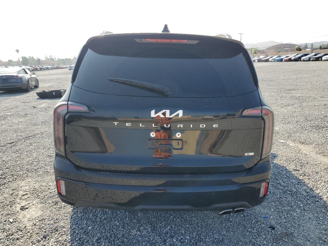 2024 Kia Telluride Sx VIN: 5XYP5DGC4RG443279 Lot: 62202395
