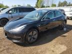 2020 TESLA MODEL 3    à vendre chez Copart ON - TORONTO
