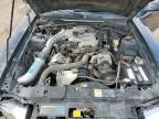 Greenwood, NE에서 판매 중인 2003 Ford Mustang  - Front End