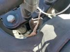 2024 HONDA XL750    for sale at Copart UT - SALT LAKE CITY