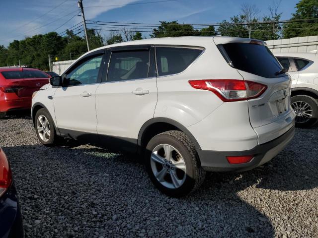Паркетники FORD ESCAPE 2016 Белы