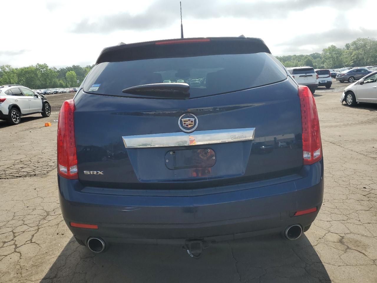 2010 Cadillac Srx VIN: 3GYFNGEY7AS631027 Lot: 61184885