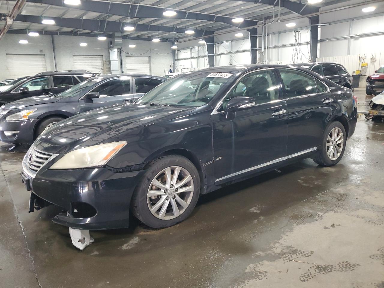 2010 Lexus Es 350 en Venta en Ham Lake, MN - Front End