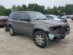 2005 Ford Escape Limited за продажба в Mendon, MA - Front End