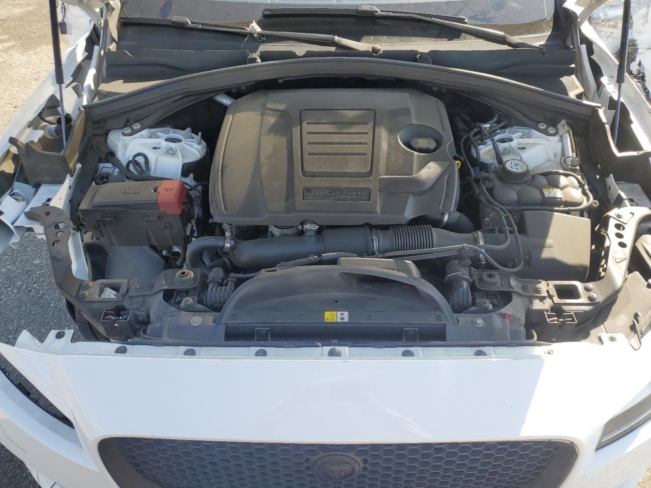 2019 Jaguar F-Pace R - Sport VIN: SADCL2GX0KA396306 Lot: 59143815