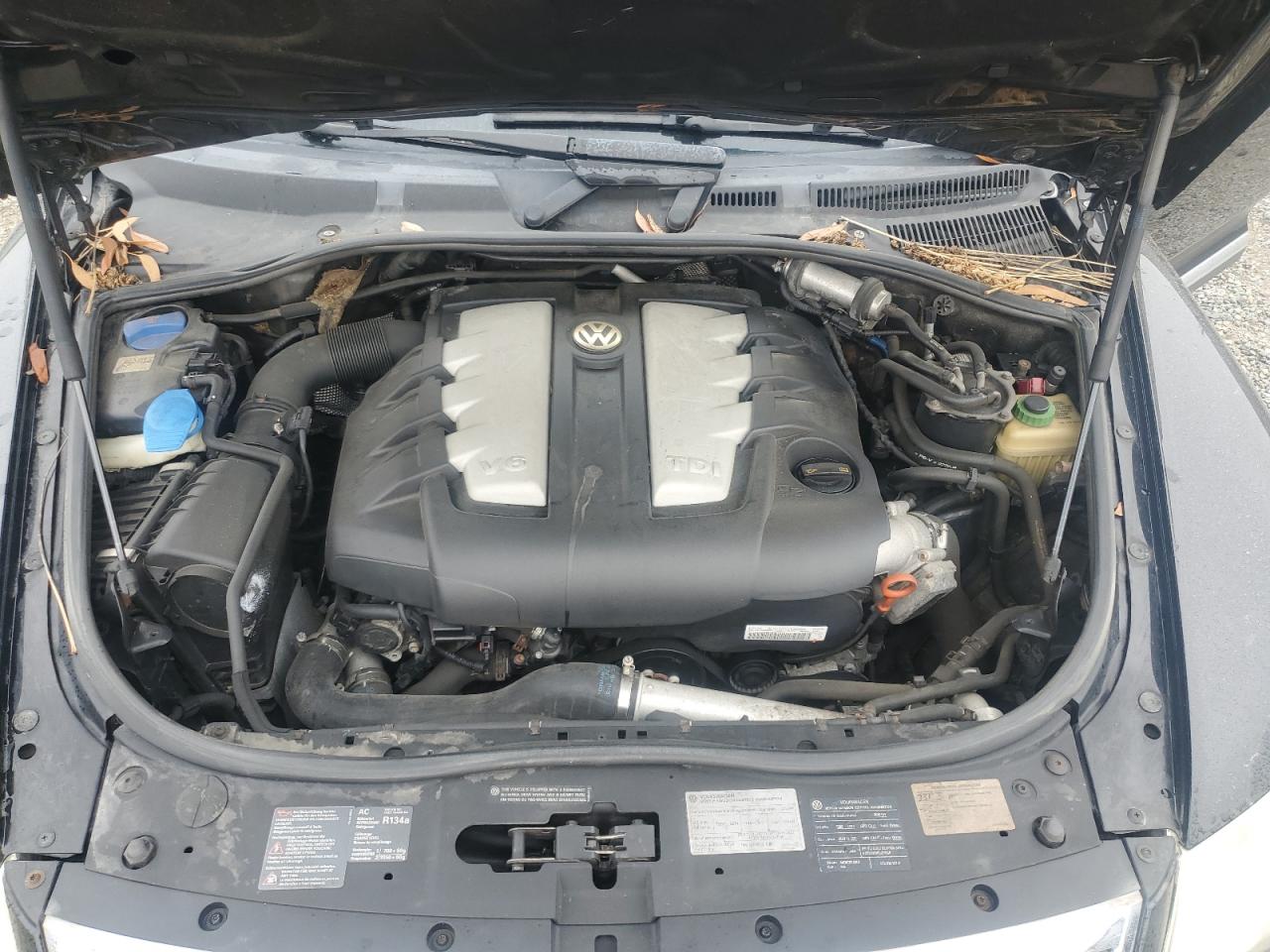 2010 Volkswagen Touareg Tdi VIN: WVGFK7A96AD001251 Lot: 59540455