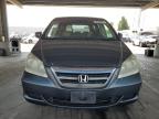 2005 Honda Odyssey Ex იყიდება Hayward-ში, CA - Minor Dent/Scratches