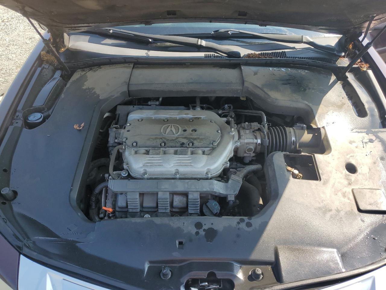 2010 Acura Tl VIN: 19UUA8F23AA026899 Lot: 61086775