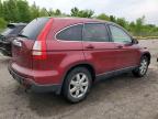 2009 Honda Cr-V Exl en Venta en Woodhaven, MI - Normal Wear