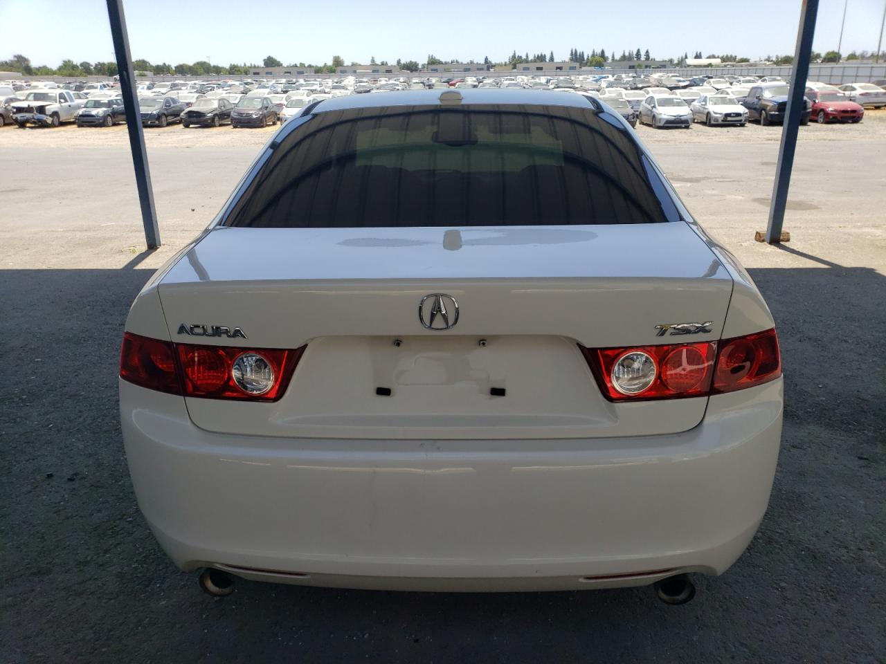 2005 Acura Tsx VIN: JH4CL96885C019048 Lot: 63140795