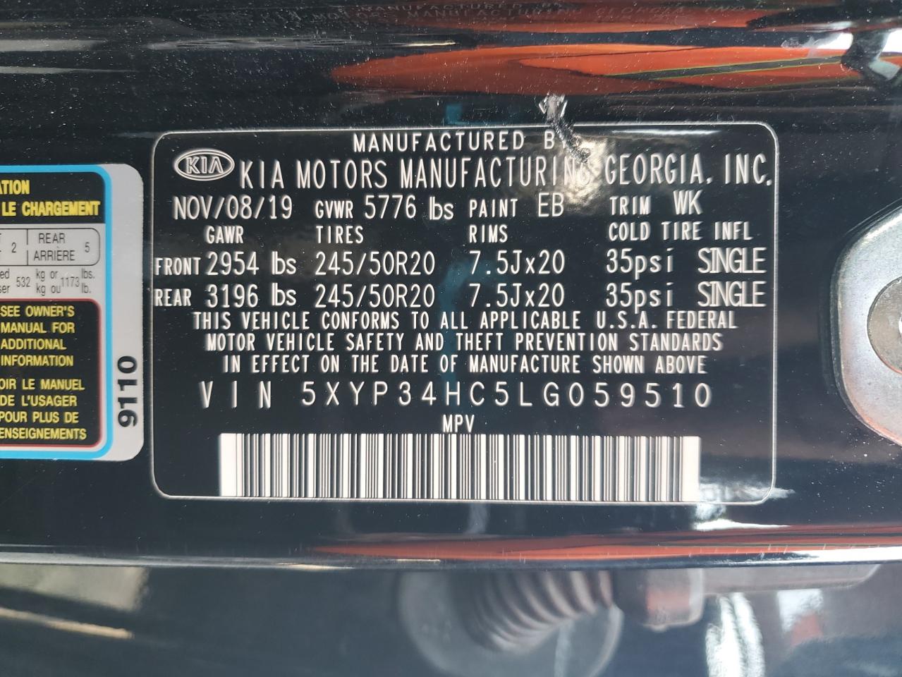2020 Kia Telluride Ex VIN: 5XYP34HC5LG059510 Lot: 60296285