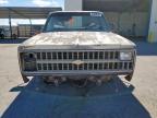 1981 Chevrolet C10 en Venta en Anthony, TX - Front End