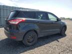 2014 FORD ESCAPE S   for sale at Copart ON - OTTAWA