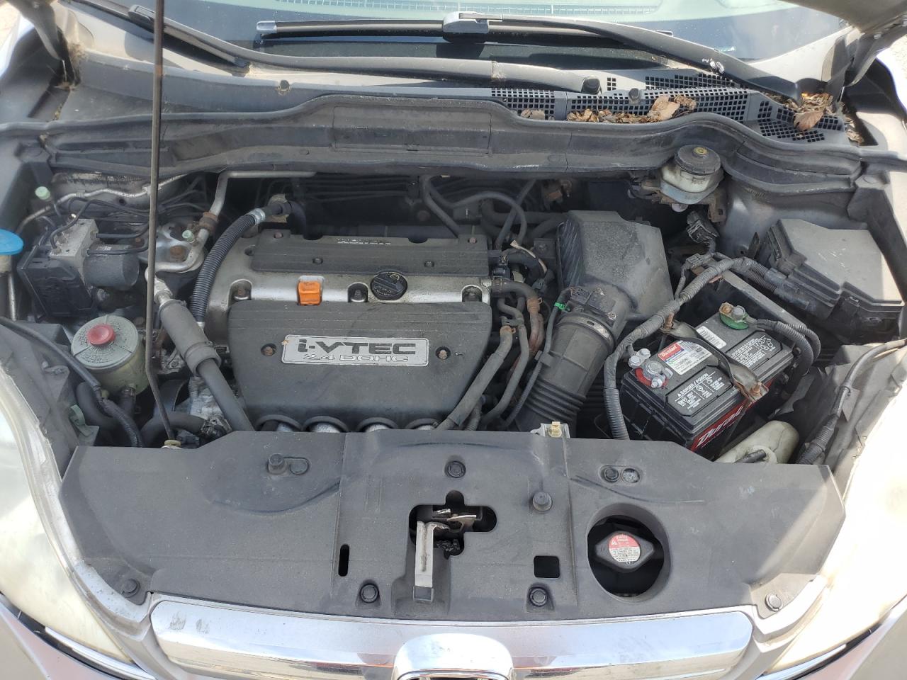 2007 Honda Cr-V Ex VIN: JHLRE485X7C065319 Lot: 62929595