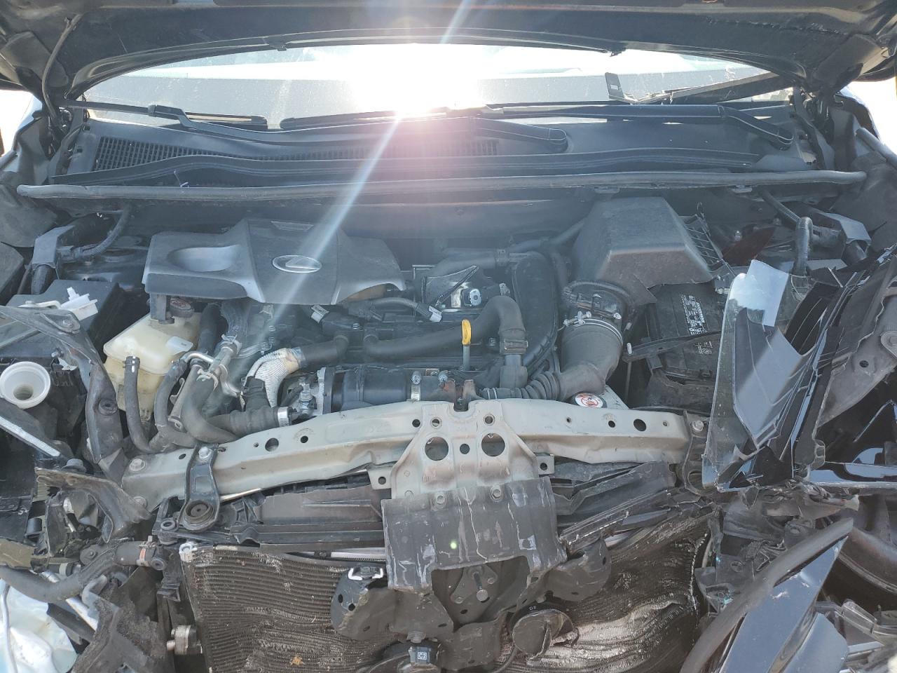 2020 Lexus Nx 300 VIN: JTJDARBZ9L2176372 Lot: 61297425