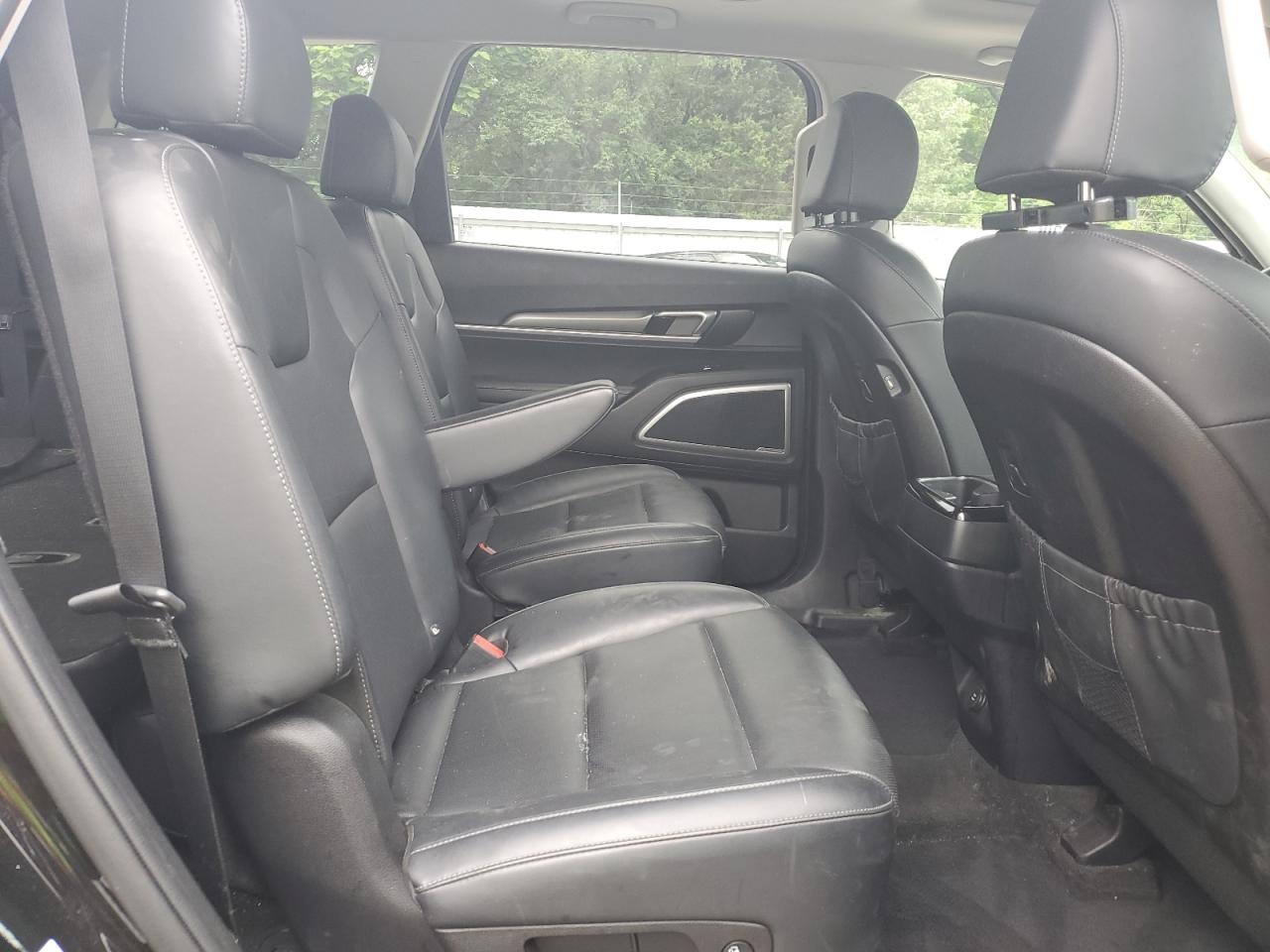 2022 Kia Telluride S VIN: 5XYP6DHC4NG219984 Lot: 60916715