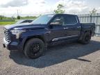 2023 TOYOTA TUNDRA CREWMAX CAPSTONE à vendre chez Copart ON - OTTAWA
