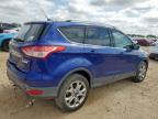 2014 Ford Escape Titanium en Venta en San Antonio, TX - Rear End