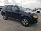 2011 Ford Escape Limited на продаже в New Orleans, LA - All Over
