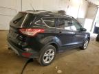 2013 Ford Escape Se   на продаже в Ham Lake, MN - Rear End