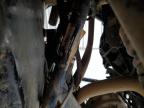 2023 Polaris Rzr Xp 1000 for Sale in Madisonville, TN - Front End