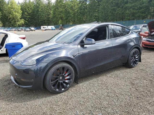  TESLA MODEL Y 2024 Szary