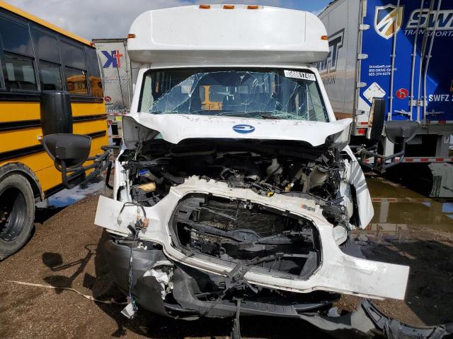  FORD TRANSIT 2019 Biały
