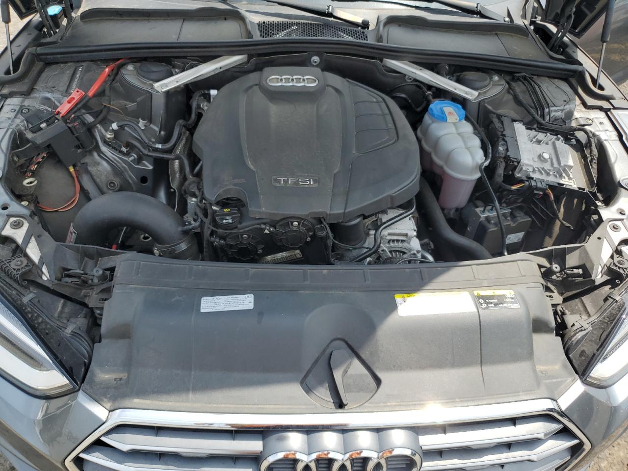 2019 Audi A5 Premium Plus VIN: WAUTNAF56KA007715 Lot: 62760455