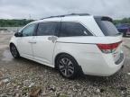2014 Honda Odyssey Touring for Sale in Louisville, KY - Hail