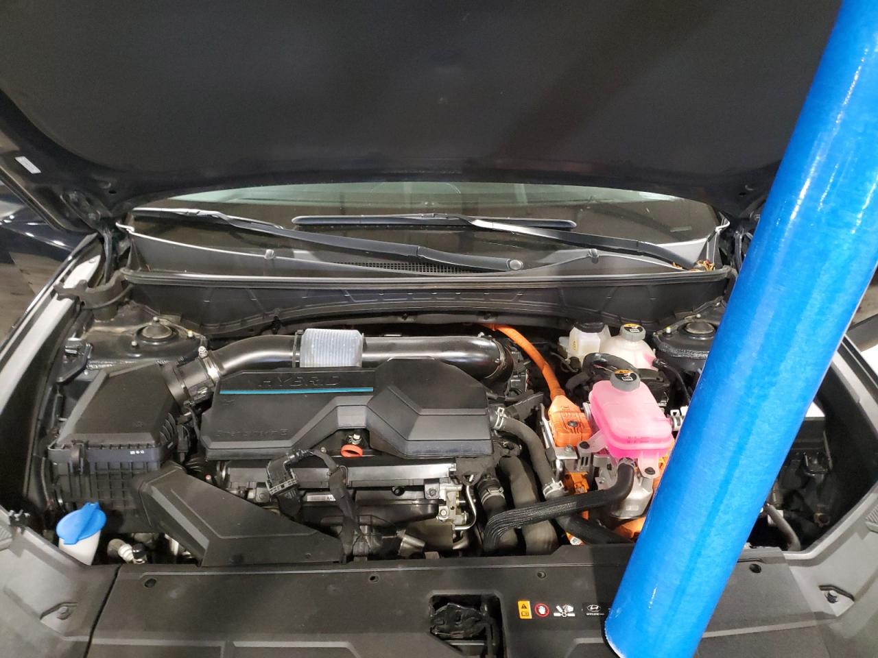 2022 Hyundai Tucson Blue VIN: KM8JBCA12NU081375 Lot: 60504725