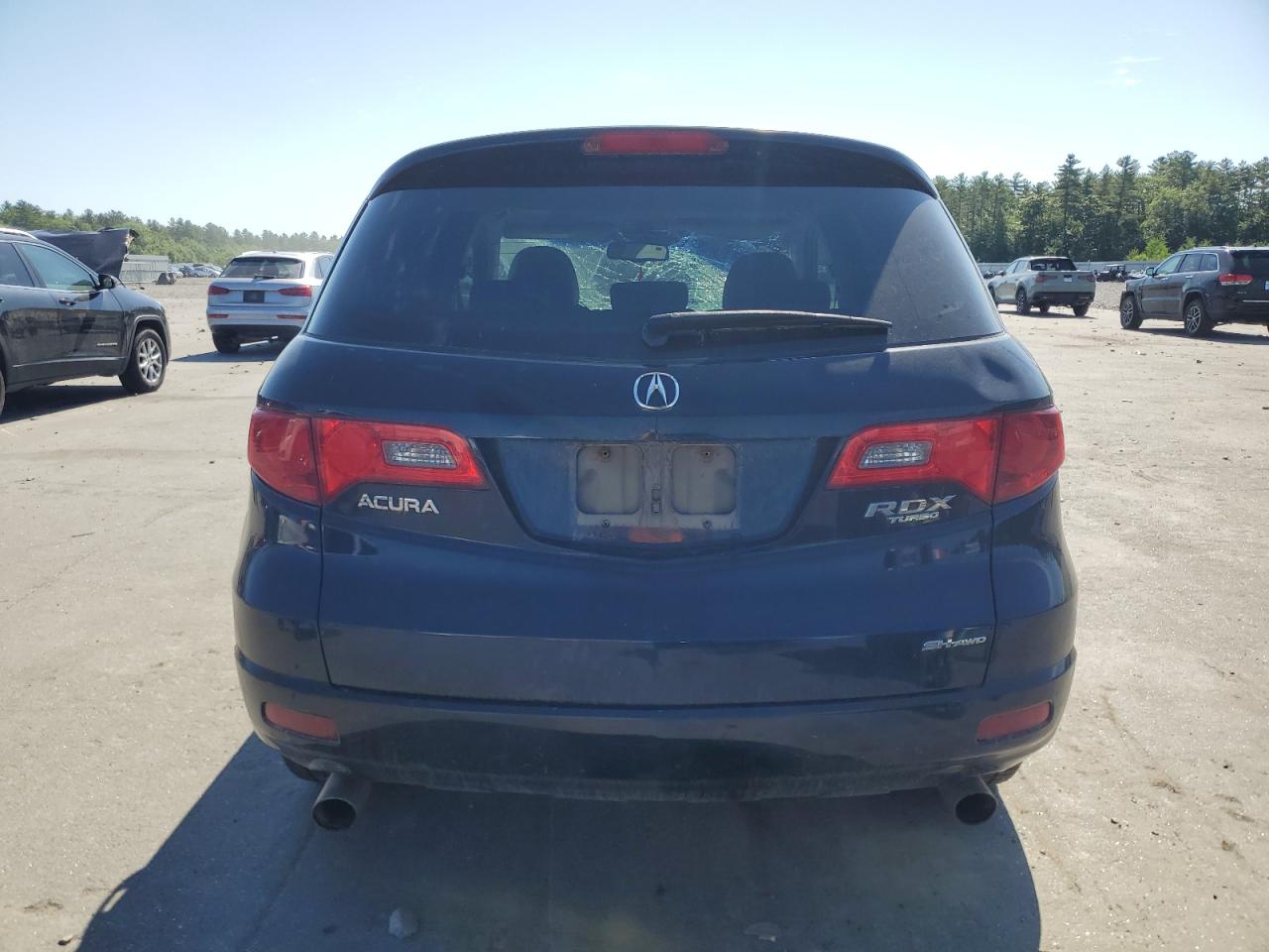 2007 Acura Rdx VIN: 5J8TB18247A007428 Lot: 61816745