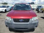 2006 Ford Escape Xlt   იყიდება Pennsburg-ში, PA - Minor Dent/Scratches