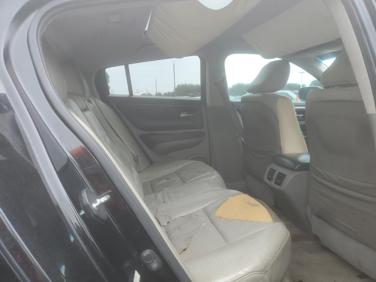 2010 Acura Zdx Advance VIN: 2HNYB1H60AH502333 Lot: 59579895